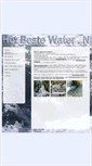 Mobile Screenshot of hetbestewater.nl